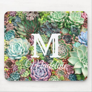 Mousepad Jardim de Suculentos Coloridos
