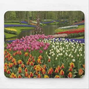 Mousepad Jardim de tulipas e jacintos, Jardins Keukenhof,
