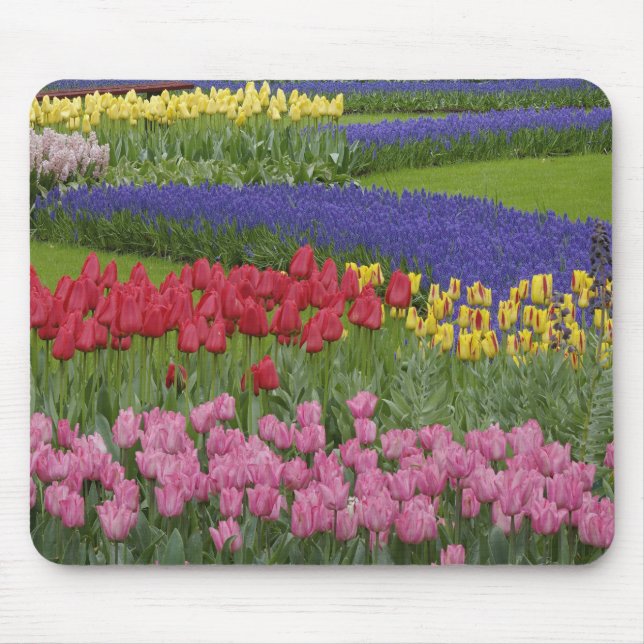 Mousepad Jardim de tulipas, jacintos e (Frente)