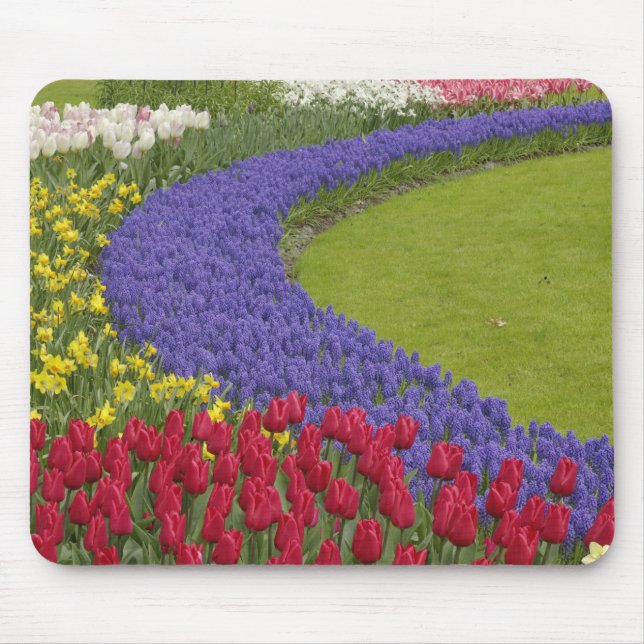 Mousepad Jardim de tulipas, jacintos e narcisos, (Frente)