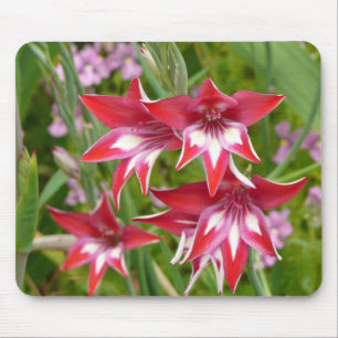 Mousepad Jardim de Verão de Gladiolas Vermelhas e Brancas