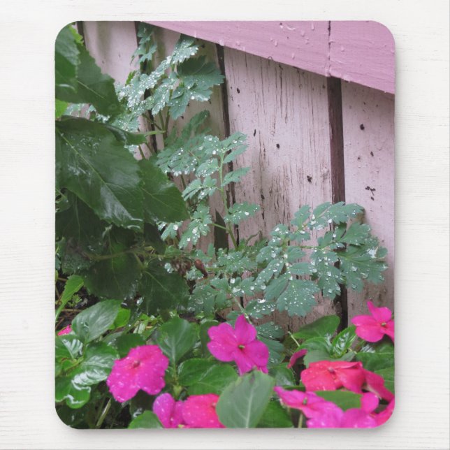 Mousepad Jardim depois da chuva - o Vineyard de Martha (Frente)