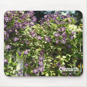Mousepad Jardim do Clematis roxo