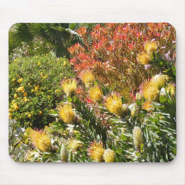 Mousepad Jardim do deserto (Frente)