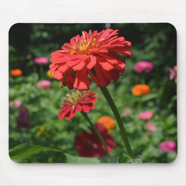 Mousepad Jardim floral de laranja vermelho-elegante (Frente)