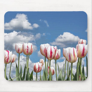 Mousepad Jardim holandês