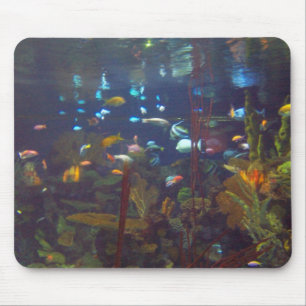 Mousepad Jardim subaquático