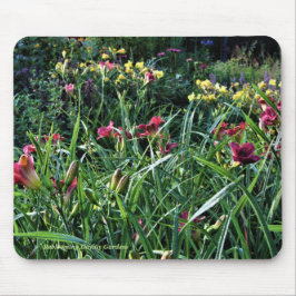 Mousepad Jardins do hemerocallis de Reblooming do dia