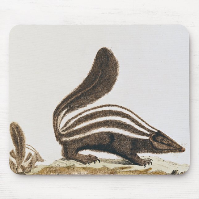 Mousepad Jaritataca, de "Histoire Naturelle" perto (Frente)