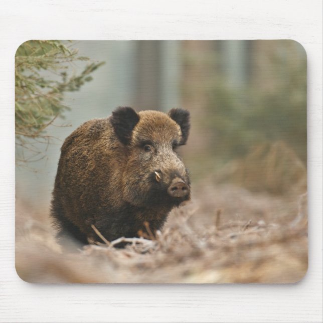 Mousepad Javali! Ferozmente Boar! (Frente)