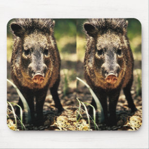Mousepad Javelina