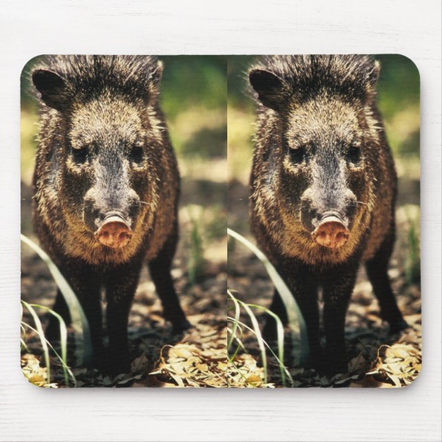 Mousepad Javelina (Frente)