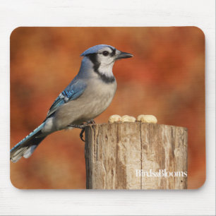 Mousepad Jay azul