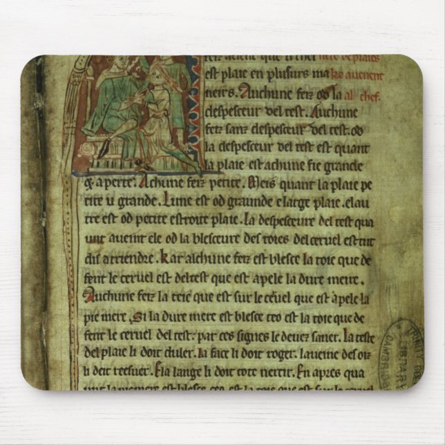 Mousepad Jerome: Um doutor que visita um paciente (Frente)