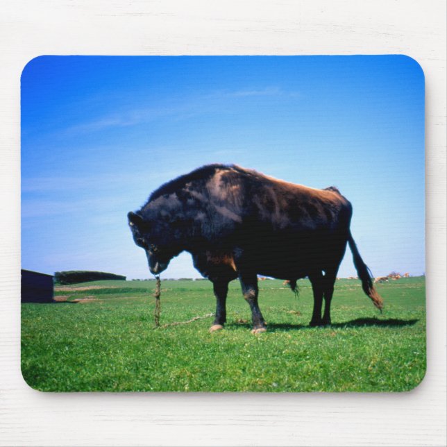 Mousepad Jersey bull em Jersey, Ilhas do Canal. (Frente)
