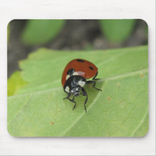 Mousepad Joaninha amigável