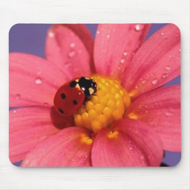 Mousepad Joaninha em uma margarida cor-de-rosa (Frente)