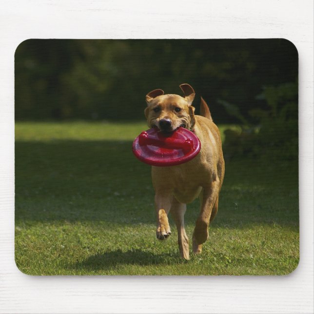Mousepad Jogando o Frisbee (Frente)
