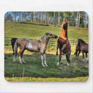 Mousepad Jogando Pinto Stallion & Sorrel Mare Equine Foto