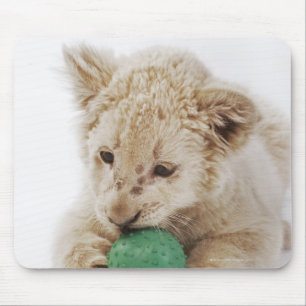 Mousepad Jogo branco do filhote de leão (krugeri de leo do