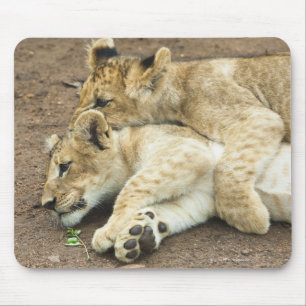 Mousepad Jogo de dois filhotes de leões