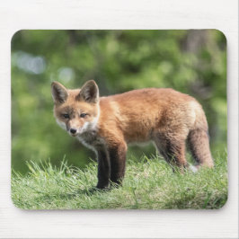 Mousepad Jogo do Fox vermelho