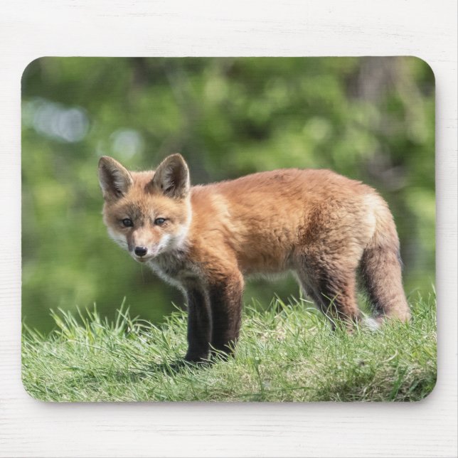 Mousepad Jogo do Fox vermelho (Frente)