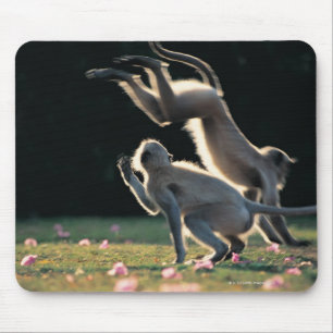 Mousepad Jogo dos macacos
