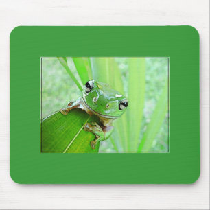 Mousepad Joias da selva