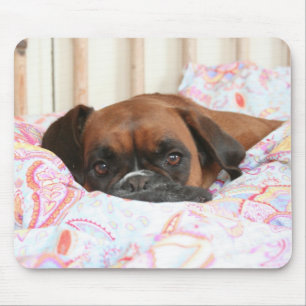 Mousepad Jolie snuggled na edredão