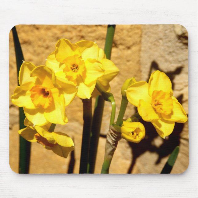 Mousepad Jonquil floresce a esteira do rato (Frente)