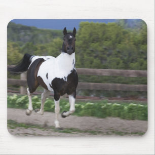 Mousepad Jorra o corredor do cavalo da pintura