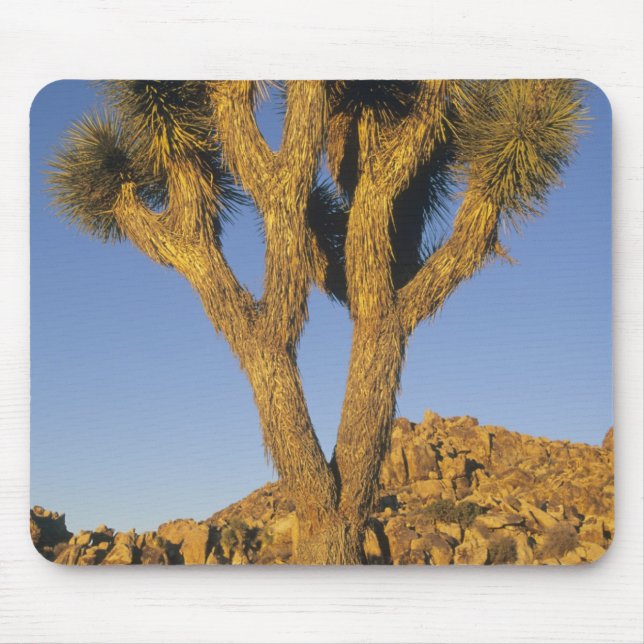 Mousepad Joshua Tree, Yucca brevifolia), e granito (Frente)