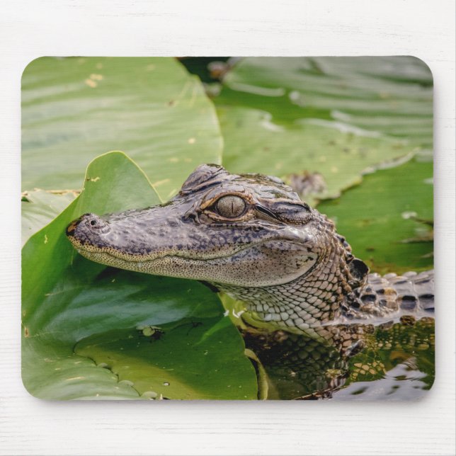Mousepad Jovem Alligator (Frente)