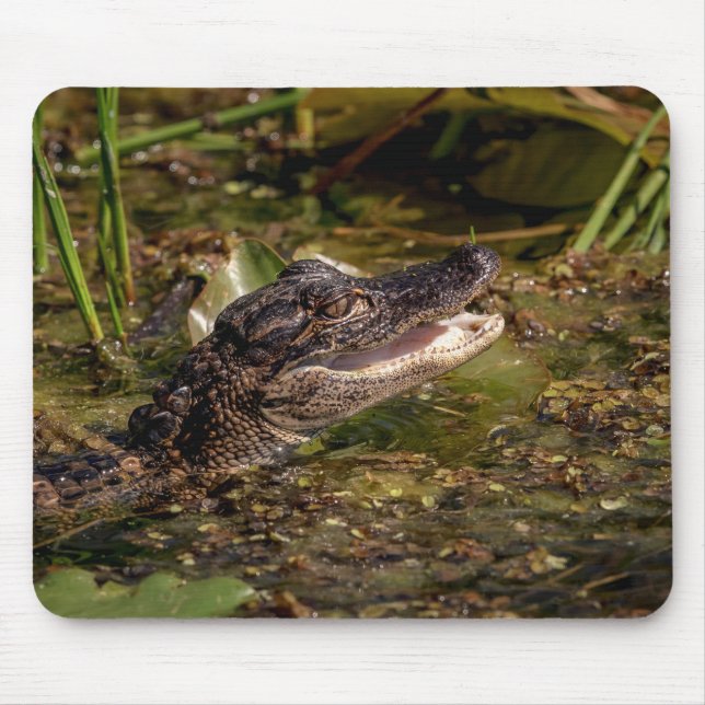 Mousepad Jovem Alligator (Frente)