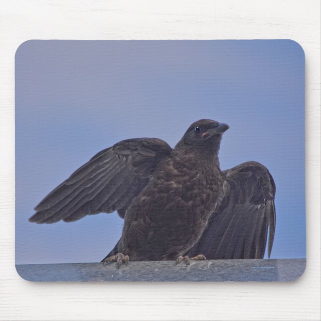Mousepad Jovem Black Raven na Ponte do Quesnel w Sky (Frente)
