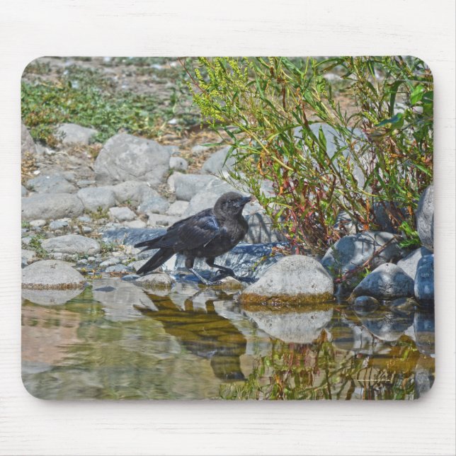 Mousepad Jovem Black Raven Refletido em Piscina (Frente)