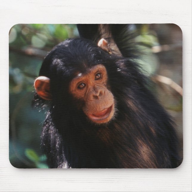 Mousepad Jovem Chimpanzé (Frente)
