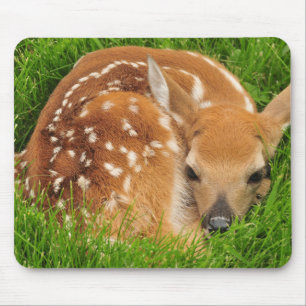 Mousepad Jovem corça sonolento do bebê