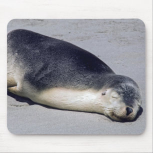 Mousepad Jovem foca dormindo na praia - Austrália