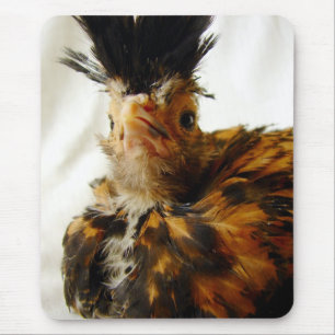 Mousepad Jovem polonês