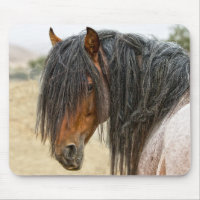 Juba do cavalo
