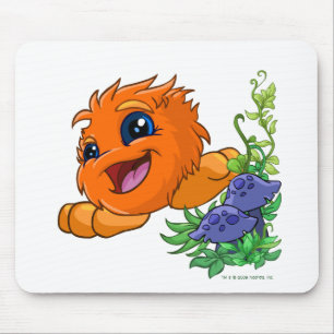 Mousepad JubJub alaranjado feliz na central de Neopia