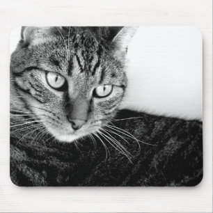 Mousepad Judas