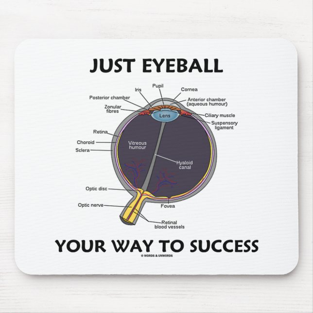 Mousepad Just Eyeball Your Way To Success (Eye Anatomy) (Frente)