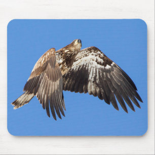 Mousepad Juvenil Bald Eagle Em Voo