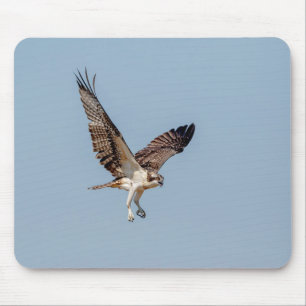 Mousepad Juvenil Osprey em voo