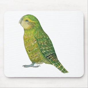 Mousepad Kakapo fêmea novo