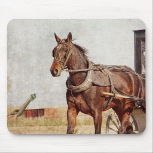 Mousepad Kalona, Iowa Amish Horse e Buggy