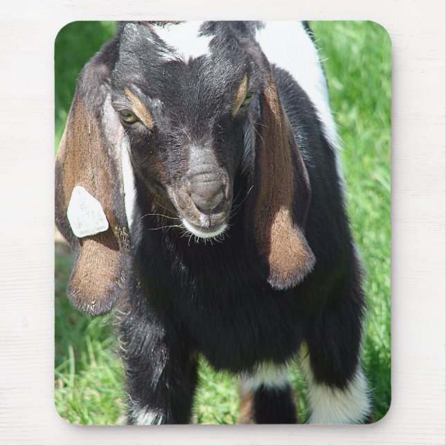 Mousepad Kalvin (Frente)